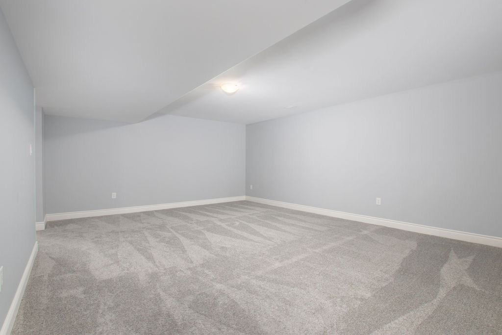 Carpeted room with light grey walls