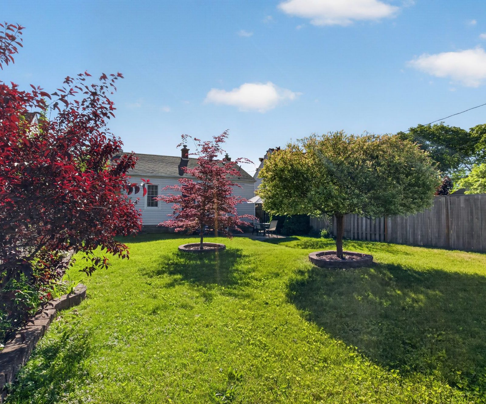 Backyard with two ornamental maple trees, green lawn, and wooden fence