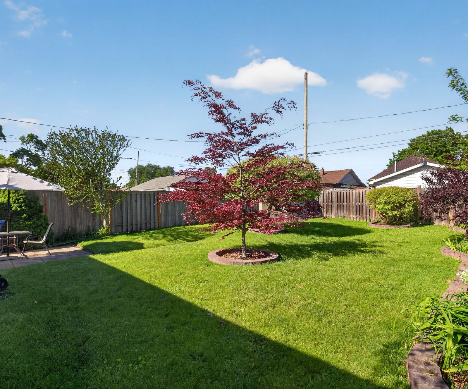 Fenced backyard lawn with maple tree and garden beds