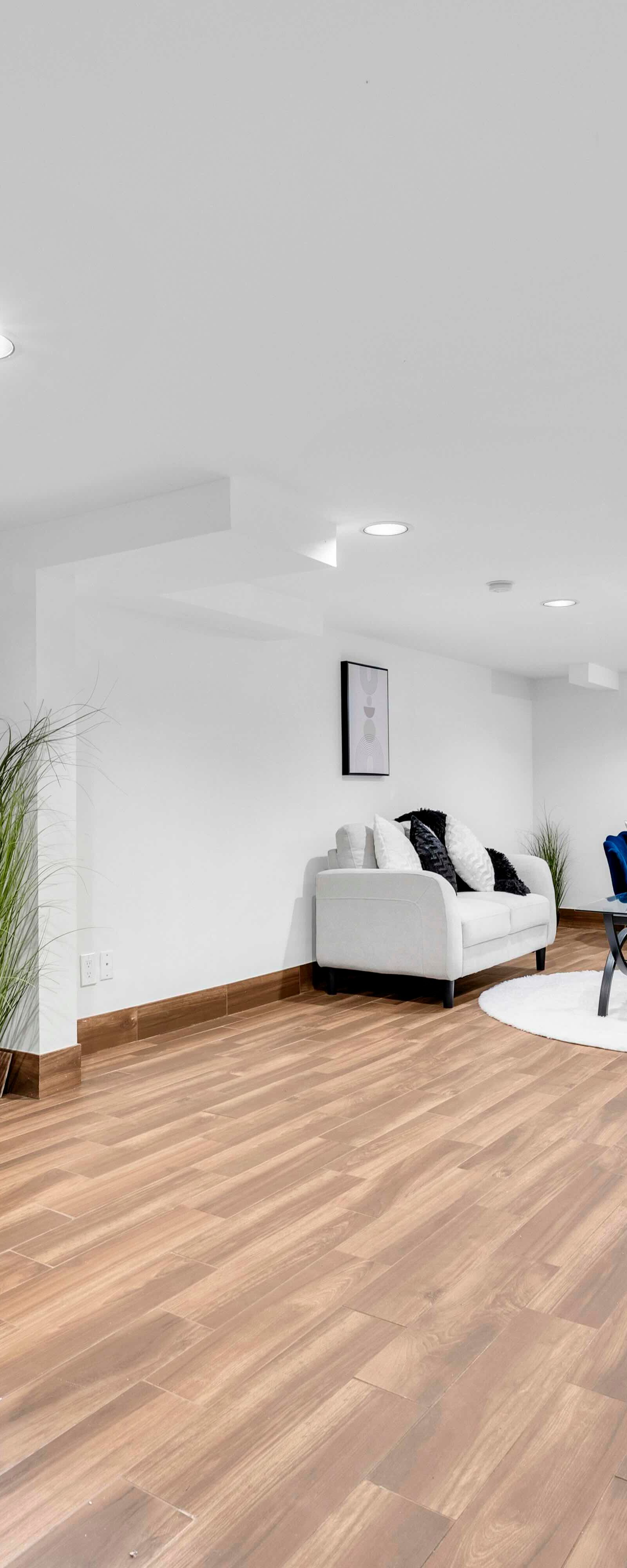 Basement area with console table, decorative plants, and wall art against white walls.
