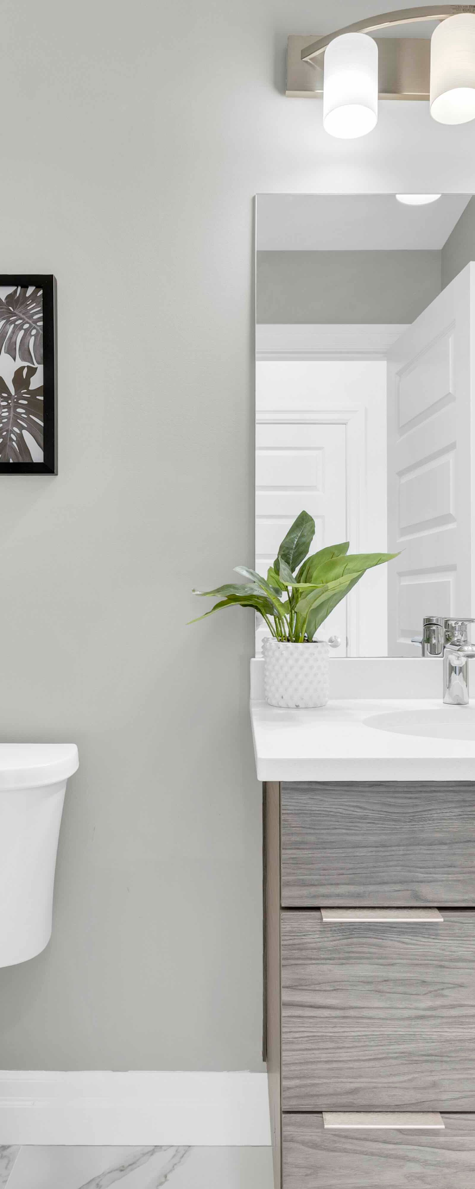 Second bathroom with toilet, vanity, and mirror