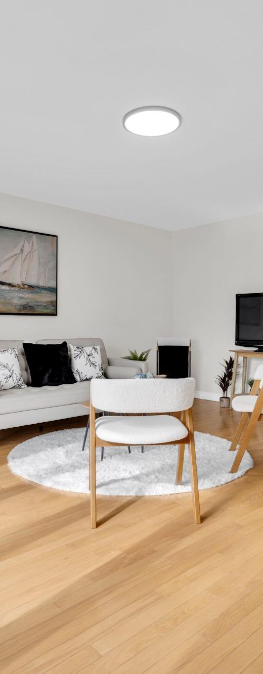 556 Clover Avenue, Windsor, Ontario - Photo 6