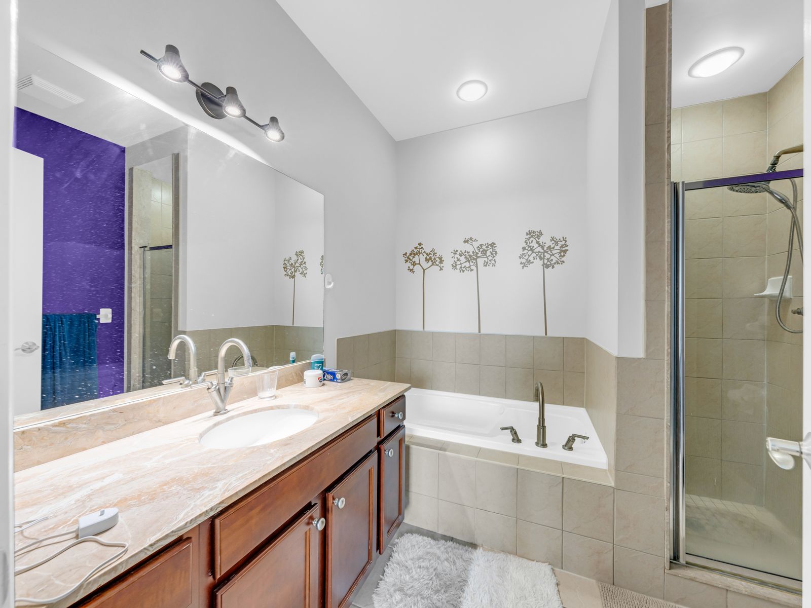 Ensuite bathroom with bathtub, shower, and marble vanity