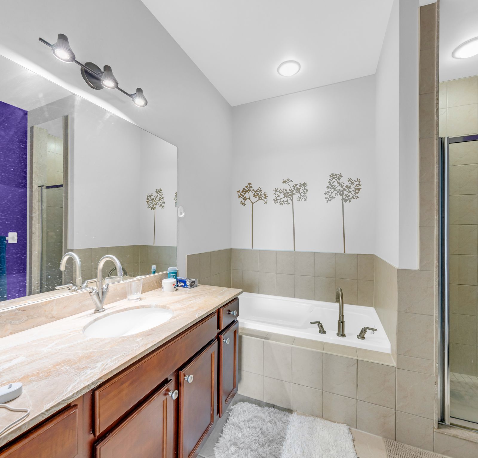 Ensuite bathroom with bathtub, shower, and marble vanity