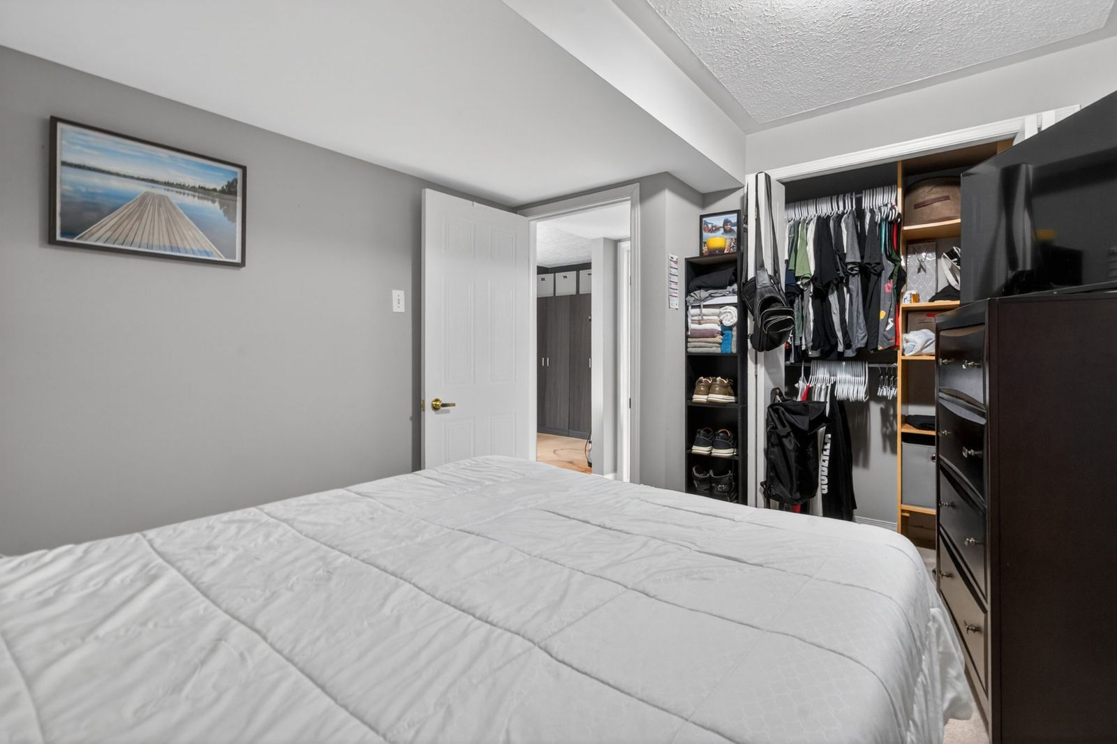 Lower level bedroom with open closet