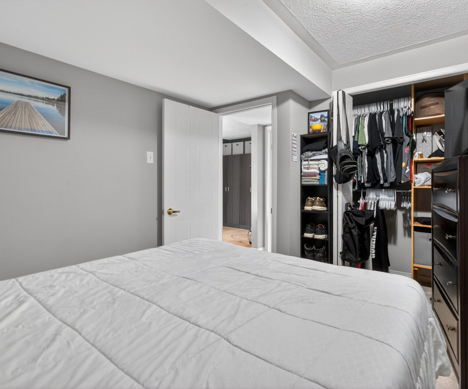 Lower level bedroom with open closet