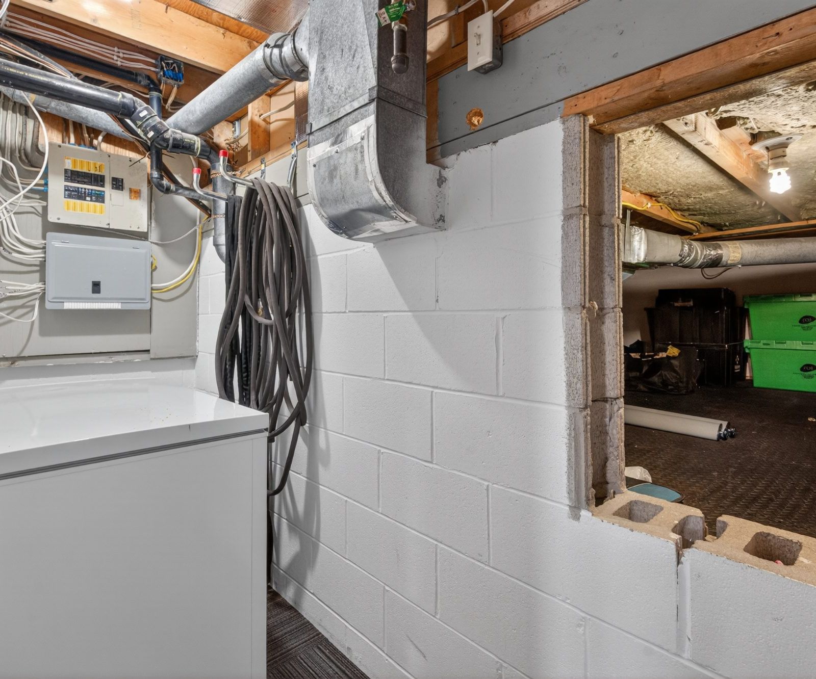 Basement utility area with washer and electrical panel