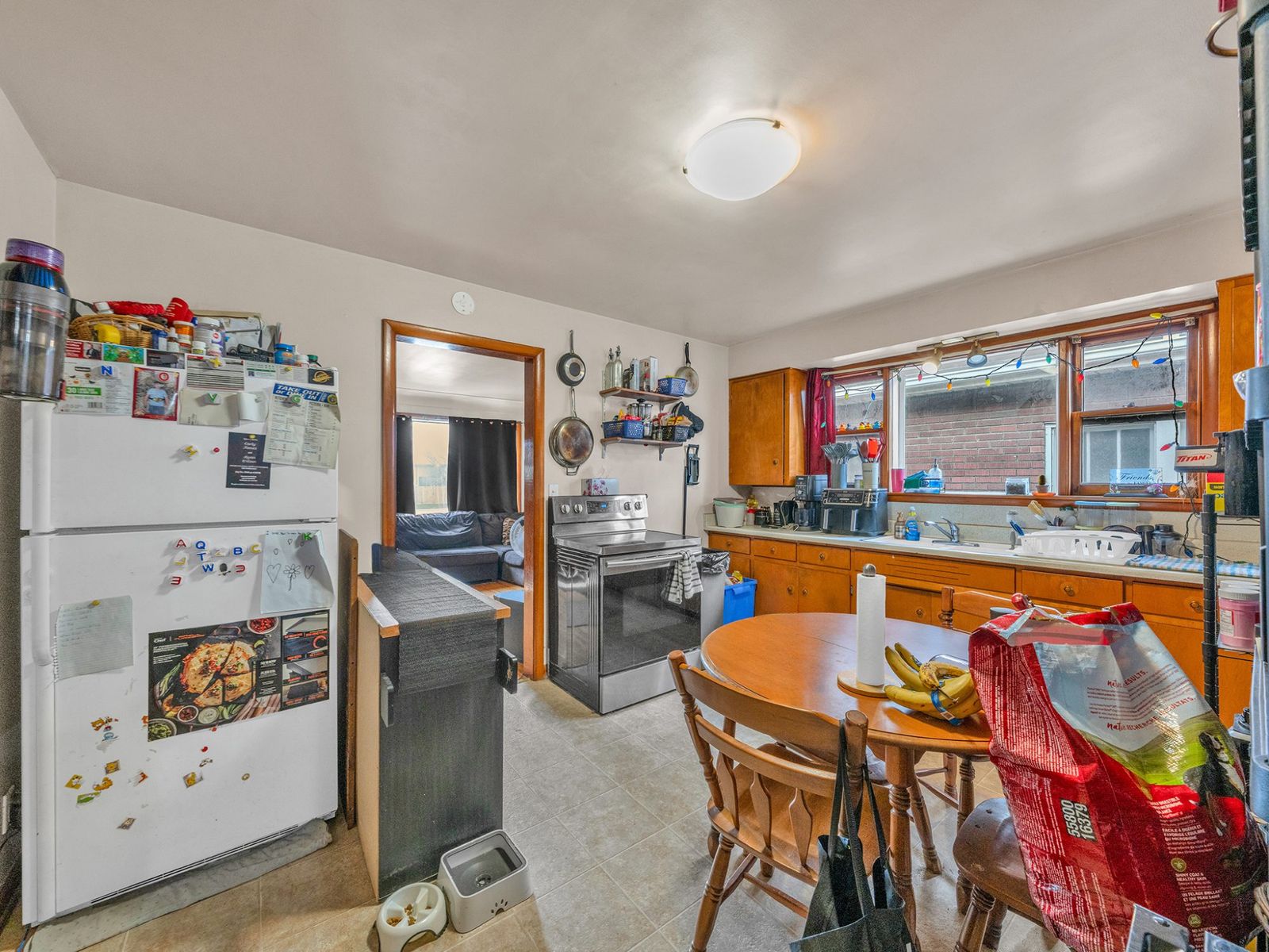 Kitchen cabinets