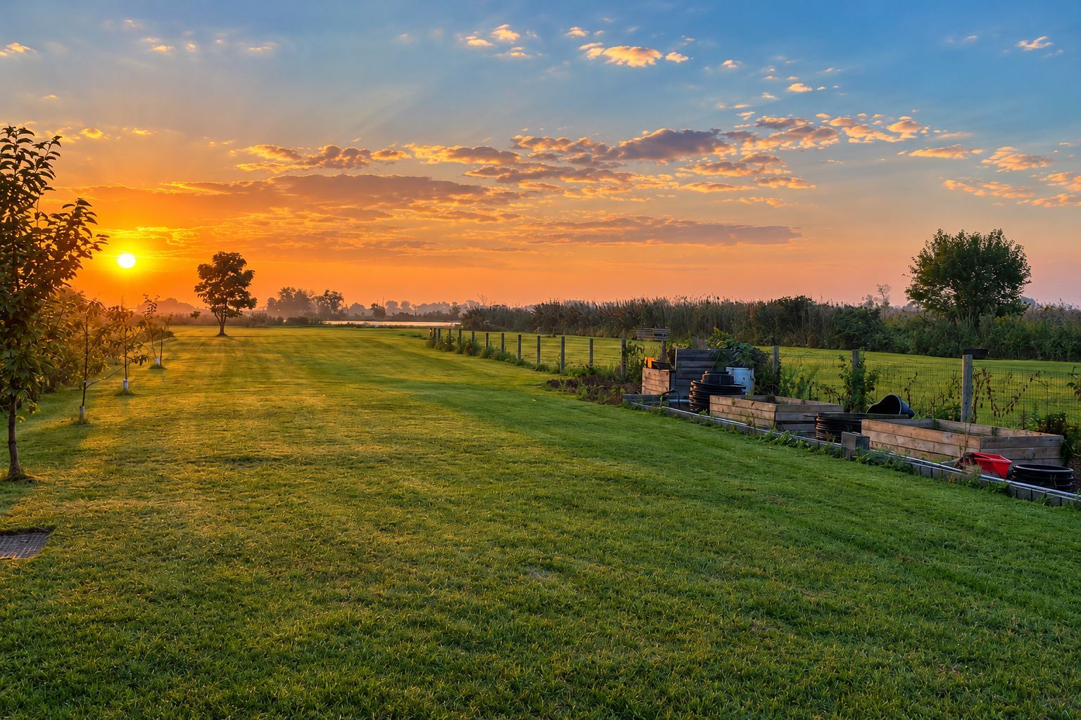 Backyard lawn and garden beds at sunset.