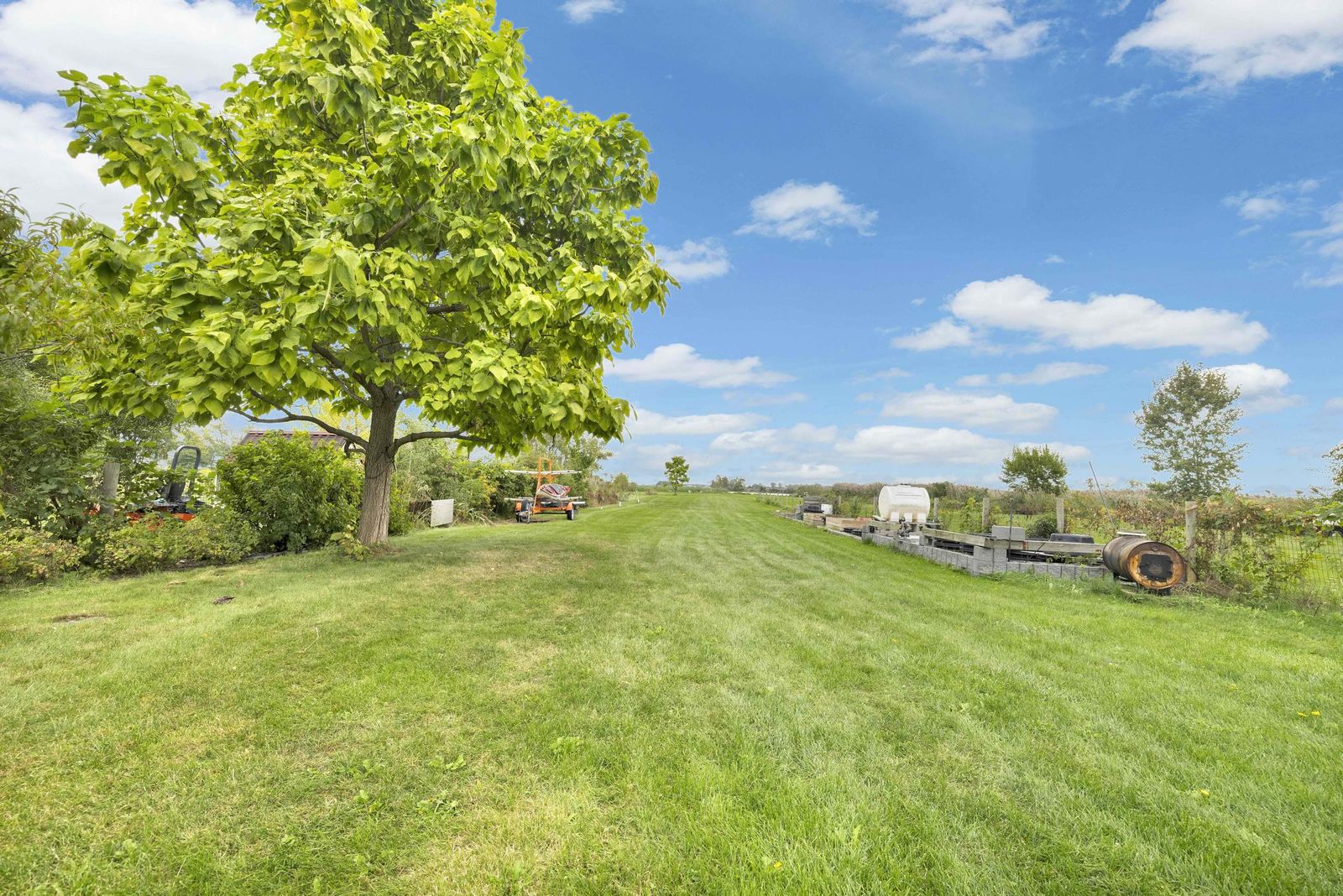Backyard lawn with a large tree and garden beds.