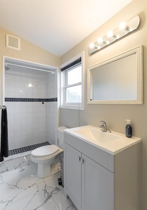 Bathroom with a walk-in shower, a toilet and a vanity.