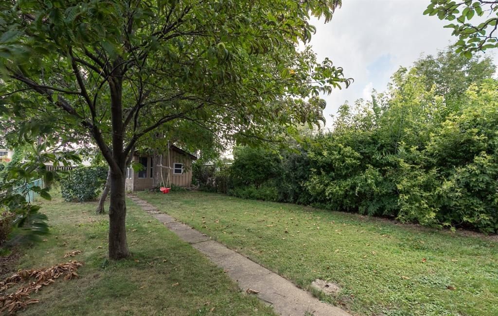 Back yard with a concrete path, grass and a shed at the far end.