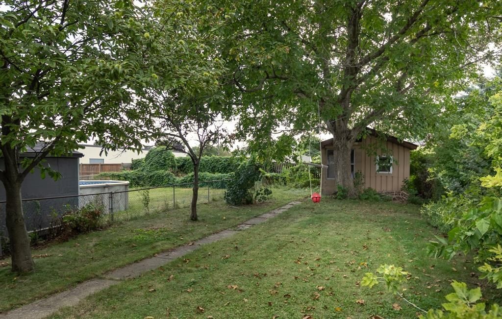 Back yard with grass, trees, a swing and a shed.